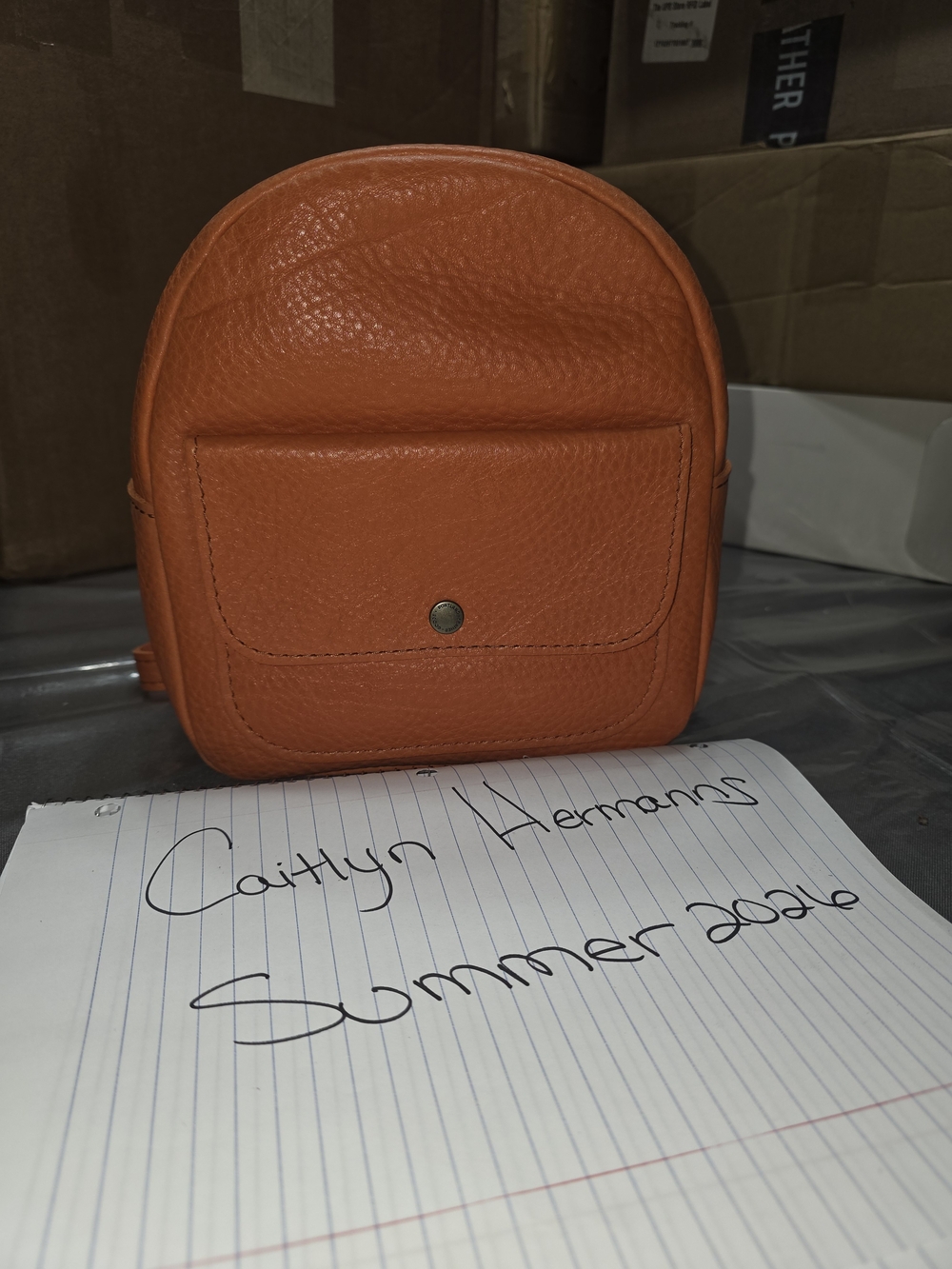 Portland Leather Mini Snap Backpack In Cape Coral